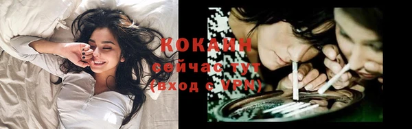 mdpv Волоколамск