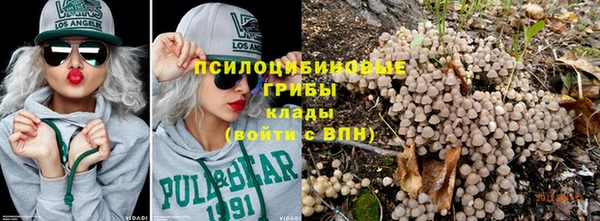 mdpv Волоколамск