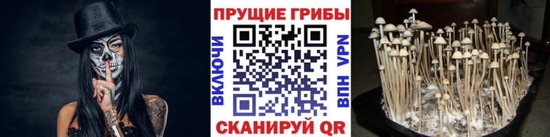 Галлюциногенные грибы мухоморы  KRAKEN сайт  Чебоксары 
